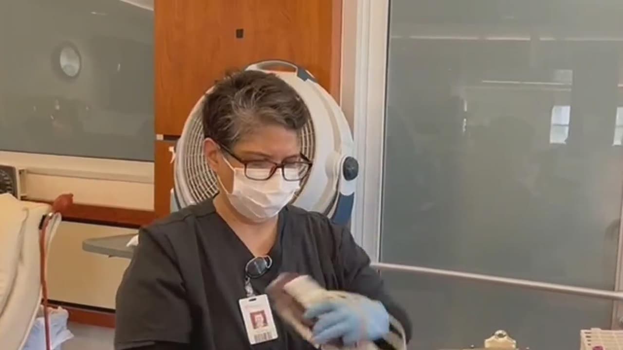 Salva vidas y llévate regalos a casa durante el Día de Donar Sangre