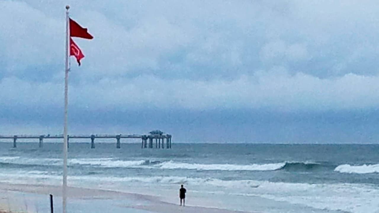 Cierran playas del Panhandle de Florida luego de tres reportes de ataques de tiburón