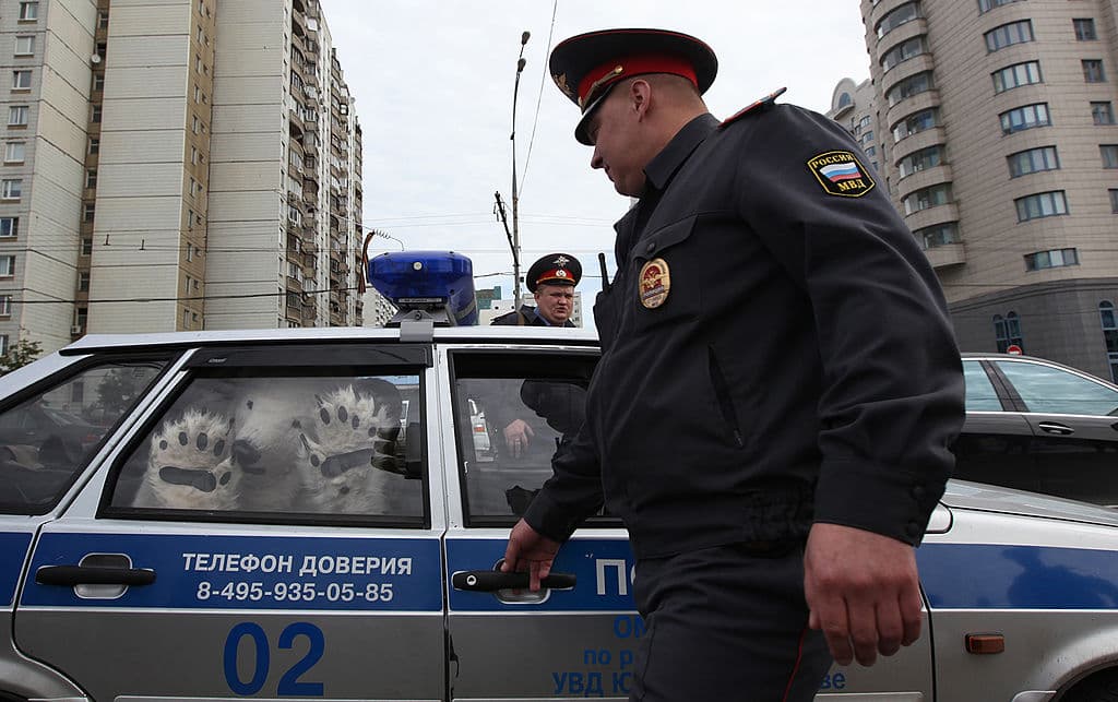 Un activista de Greenpeace vestido como un oso polar es detenido dentro de un carro de policía en Moscú, el 5 de septiembre de 2012. El activista fue detenido por protestar contra la exploración petrolera del Ártico de parte de Gazprom, Shell y Exxon.