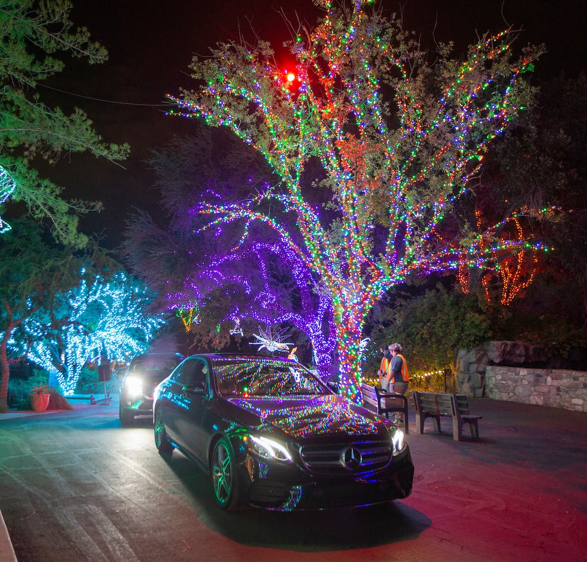 Las entradas ya están a la venta para el evento de luces navideñas “Cruise ZooLights” en el Zoológico de Phoenix. El evento de manera ‘drive thru’ está abierto los lunes y martes de 5:30 a 10:30 pm. El recorrido por auto estará abierto durante las siguientes fechas: 29 y 30 de noviembre. 6, 7, 13 y 14 de diciembre. 3, 4, 10 y 11 de enero.
