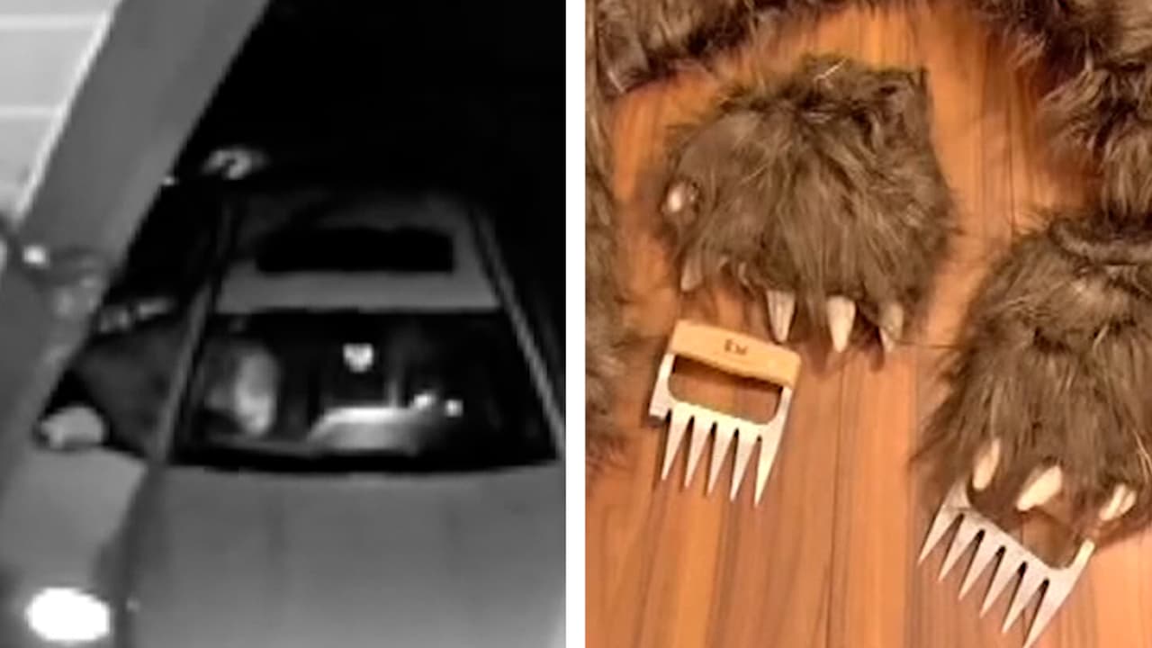 <h3 class="cms-H3-H3">Mira también:</h3> 
<br>
<br>Autoridades de Los Ángeles, California, detuvieron a cuatro personas vinculadas con un esquema de fraude que reportaba daños en autos de lujo causados por un oso. Con ello, cobraron hasta 140,000 dólares de tres compañías distintas.