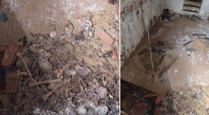 Encuentran huesos de 100 años bajo parque de NY