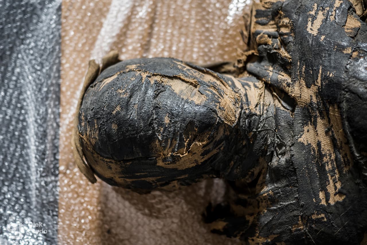 Científicos polacos indicaron este jueves que descubrieron una momia egipcia embarazada, la primera en conocerse en este estado en el mundo. El descubrimiento se hizo cuando realizaban radiografías de una serie de momias que tienen en el 
<b><a href="http://www.warsawmummyproject.com/" target="_blank">Museo Nacional de Varsovia</a></b>. Este estudio "sacó a la luz material de investigación que... tiene el potencial de proporcionar nuevos datos sobre
<b> un tema poco conocido de la antigüedad: el embarazo"</b>, indica el reporte del estudio que el centro de estudios compartió a 
<b>Univision Noticias. </b>