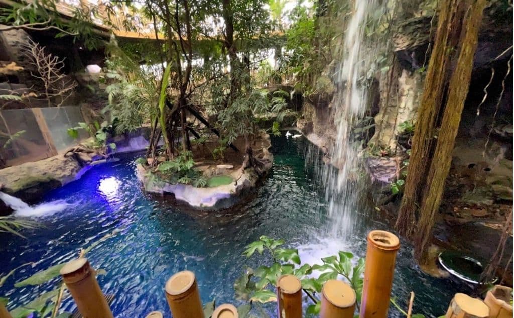 Una nutria atacó a una niña de 2 años en el Dallas World Aquarium y sus padres demandan