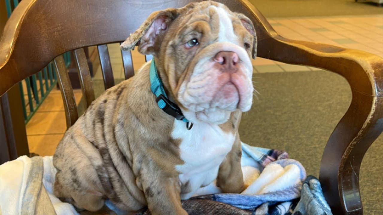 <b>Angie Milner</b>: Mi regalo de cumpleaños