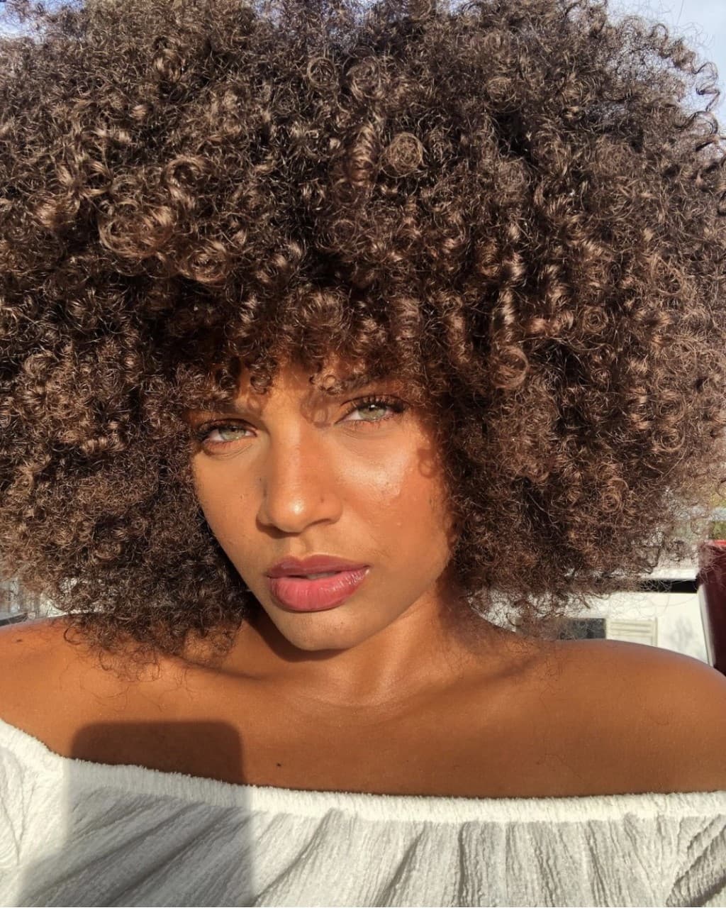 Alicia estudió una licenciatura en leyes y hace no mucho tiempo ingresó a un curso de leyes.