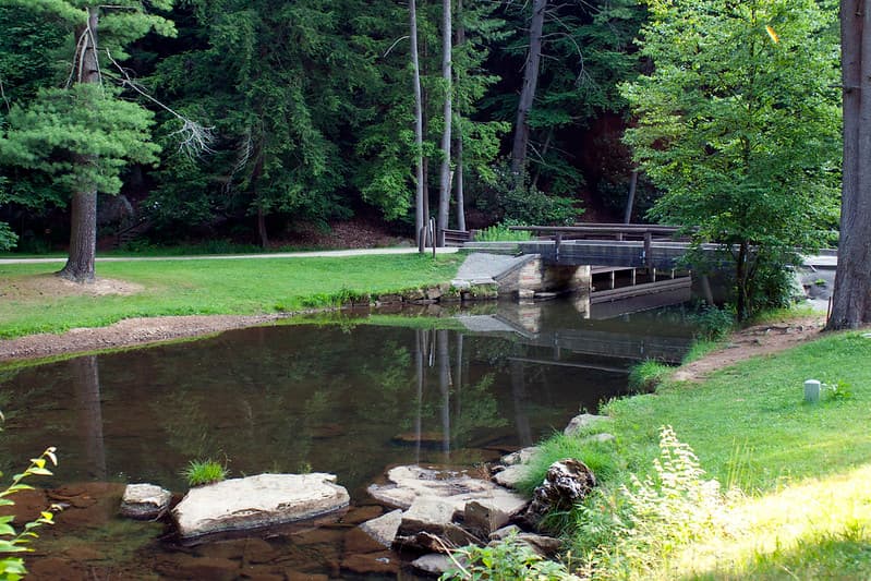 Conocida por sus rodales de bosque antiguo, la Catedral del Bosque de pinos blancos y hemlocks del parque es un Monumento Natural Nacional.
<br>
<br>Un tramo panorámico de 13 millas del río Clarion fluye a través del Parque Estatal Cook Forest y es popular para practicar piragüismo, kayak y tubos.
<br>
<br>
<a href="https://www.dcnr.pa.gov/StateParks/FindAPark/ClearCreekStatePark" target="_blank">El parque estatal Clear Creek</a> está a solo 18 km.
<br>