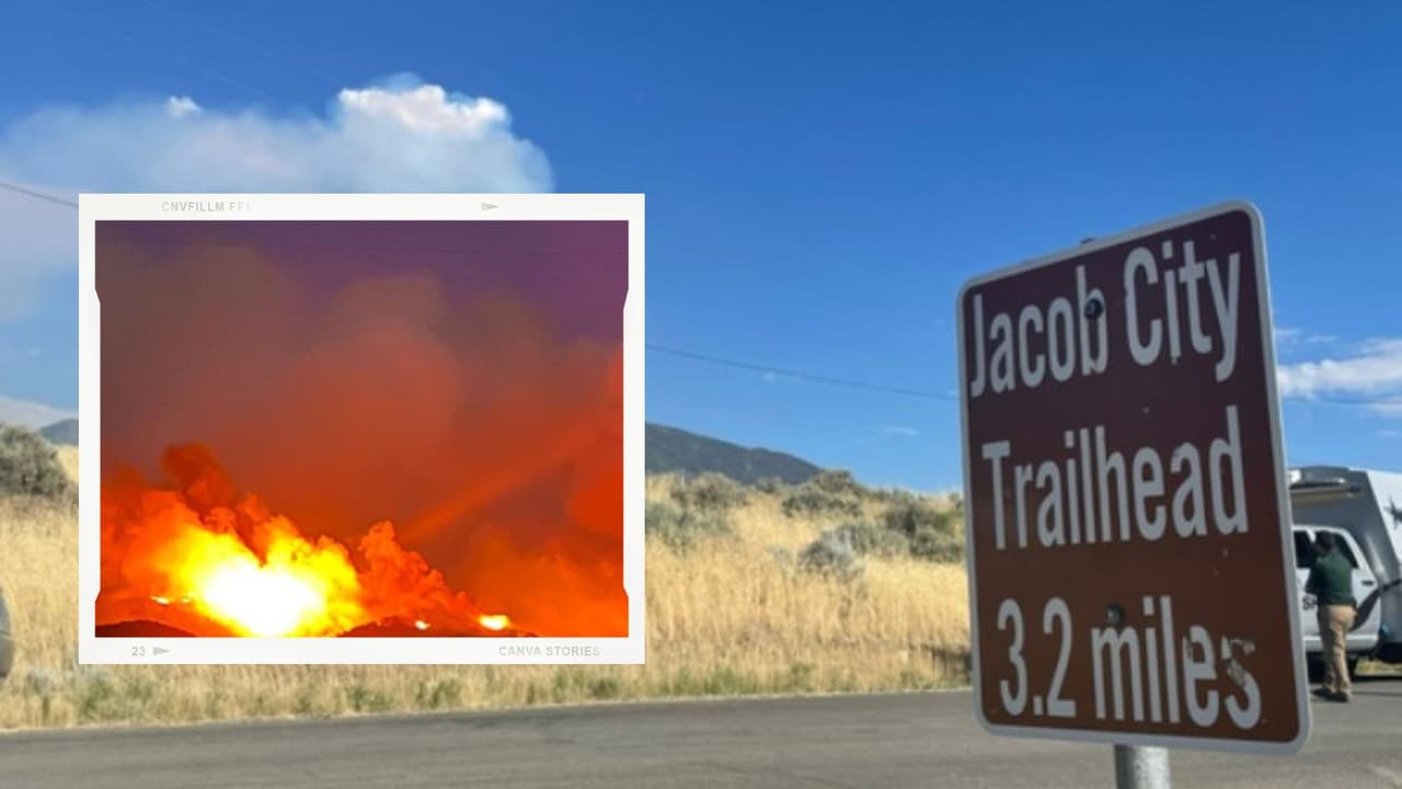 Especialista advierte los riesgos para la salud de la contaminación producida por los incendios forestales