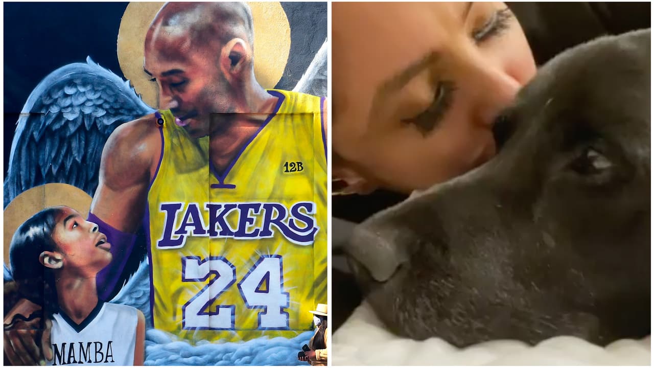 El perro de Kobe Bryant consuela a la viuda Vanessa a dos años de su muerte