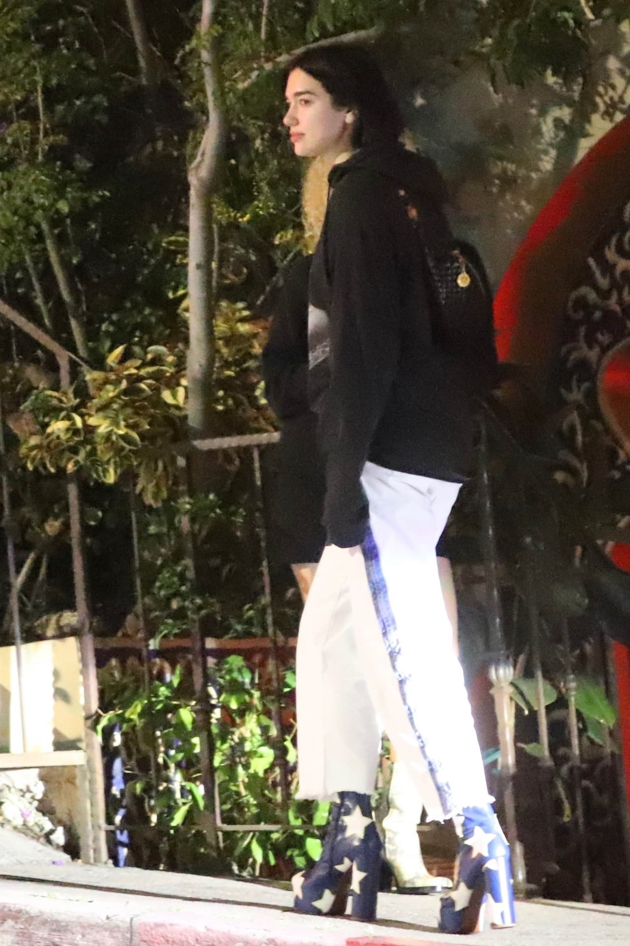 Dua Lipa fue captada por los paparazzi el pasado 18 de marzo mientras cenaba con sus amigos en un restaurante de California.