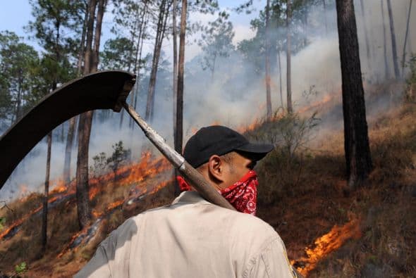 La condición se ha agravado con algunos incendios forestales.