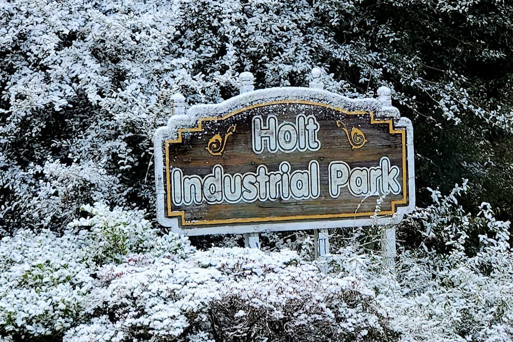 Florida recibe nieve por segundo año consecutivo