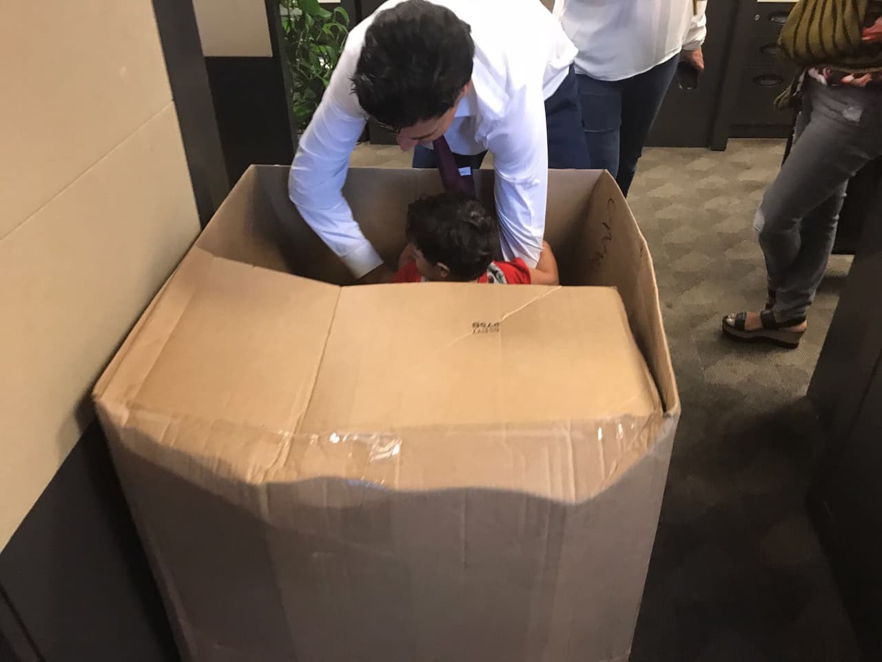 Esta caja fue el lugar ideal para esconderse por un rato.