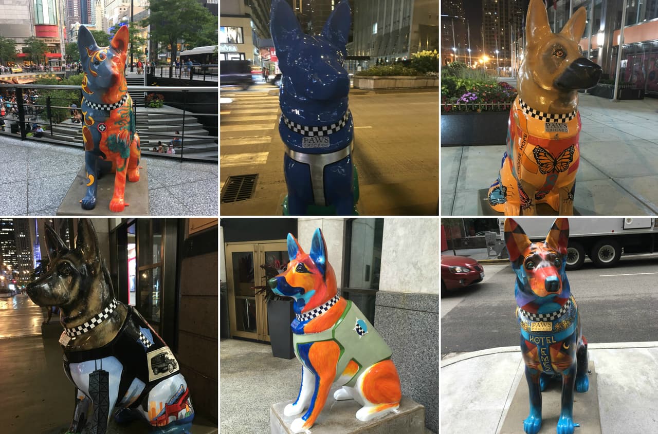 Si ha caminado por la Avenida Magnífica de seguro ha visto estas esculturas inspiradas en el mejor amigo del hombre.