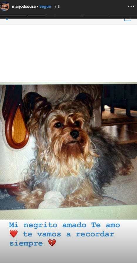 También compartió esta fotografía en sus historias, donde le dedicó otro tierno mensaje.