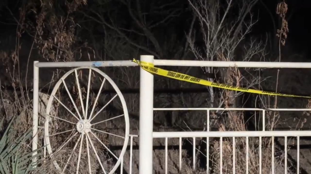 Tras reporte de evento clandestino arrestan a 5 hombres acusados de participar en peleas de gallos