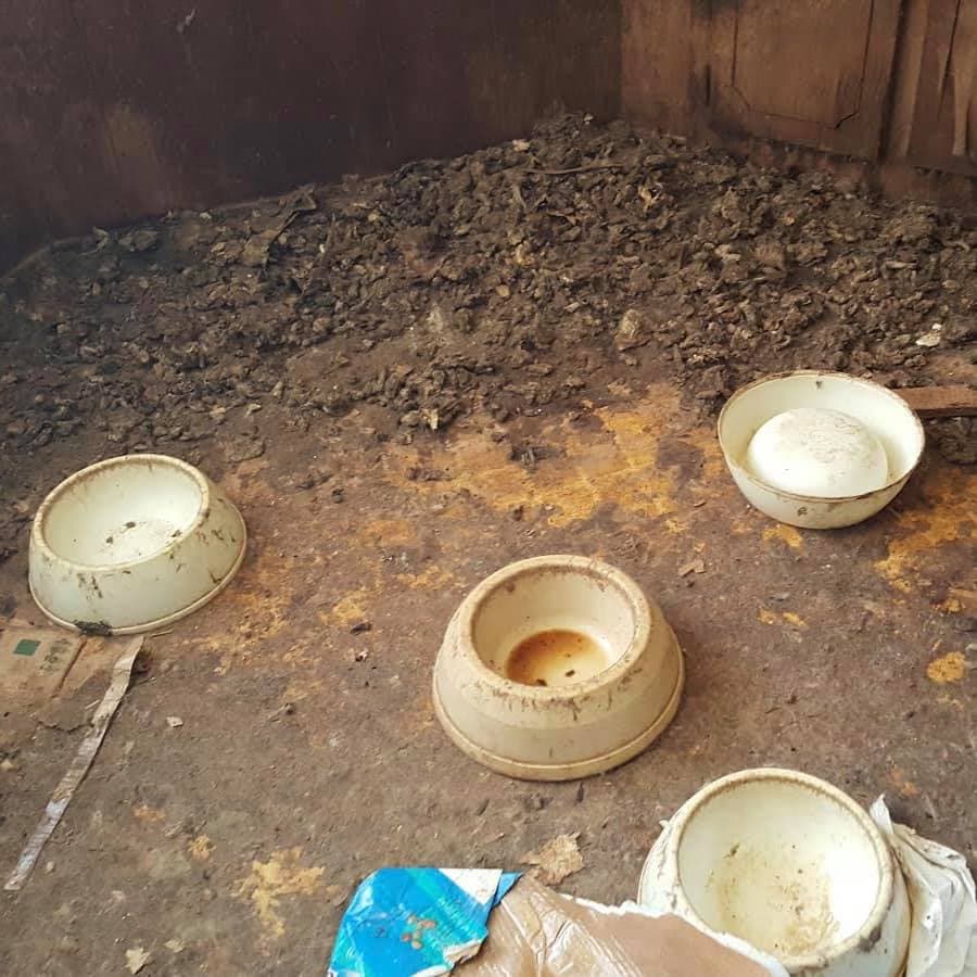 Se encontraron varios recipientes sucios.