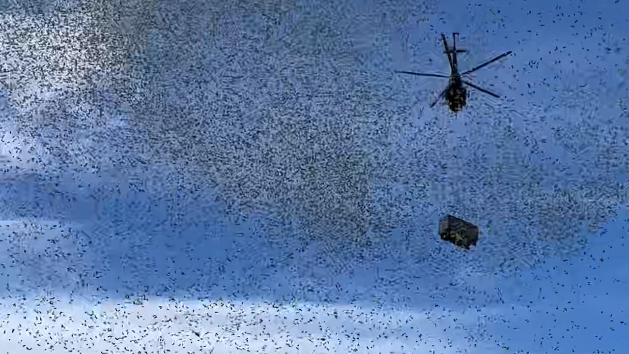 'Lluvia de billetes': por qué lanzaron $1 millón desde una caja que 'volaba' en un helicóptero