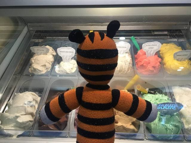 ¡Parece que al tigre de felpa le gustan el gelato!