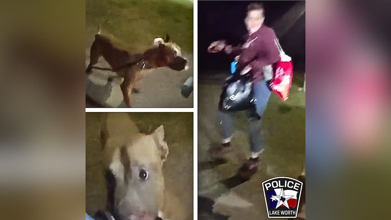 En el primer caso, 
<b>Christina Pate, de 47 años</b>, resultó 
<b><a href="https://www.univision.com/local/dallas-kuvn/buscan-duena-pitbull-cristina-pate-muerte-parque-de-layworth" target="_blank">gravemente herida el miércoles 8 de octubre en Dakota Dog Park, Lake Worth,</a></b> tras ser atacada por un pitbull. La dueña del perro
<b> no intervino y huyó del lugar</b>, dejando a la víctima sin ayuda.