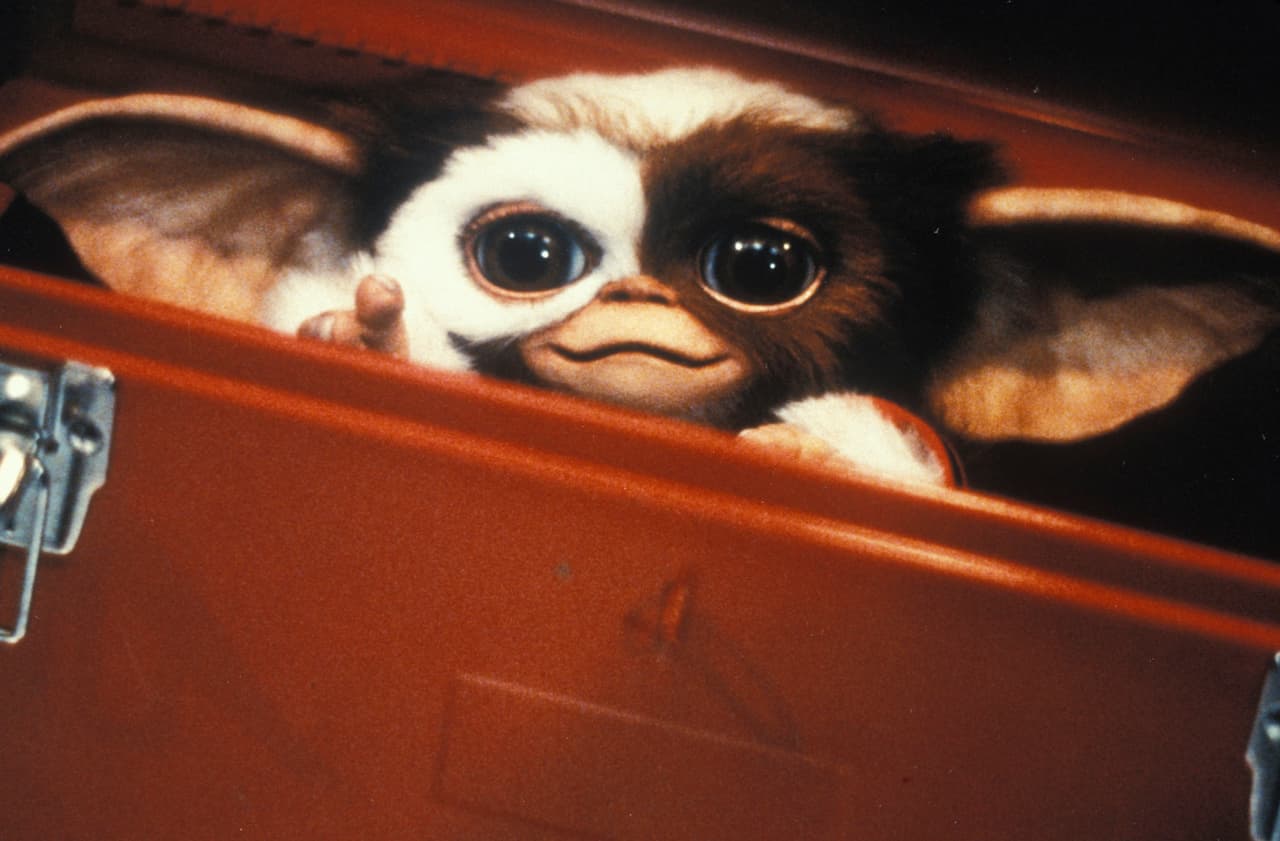 Gizmo 'Gremlins'