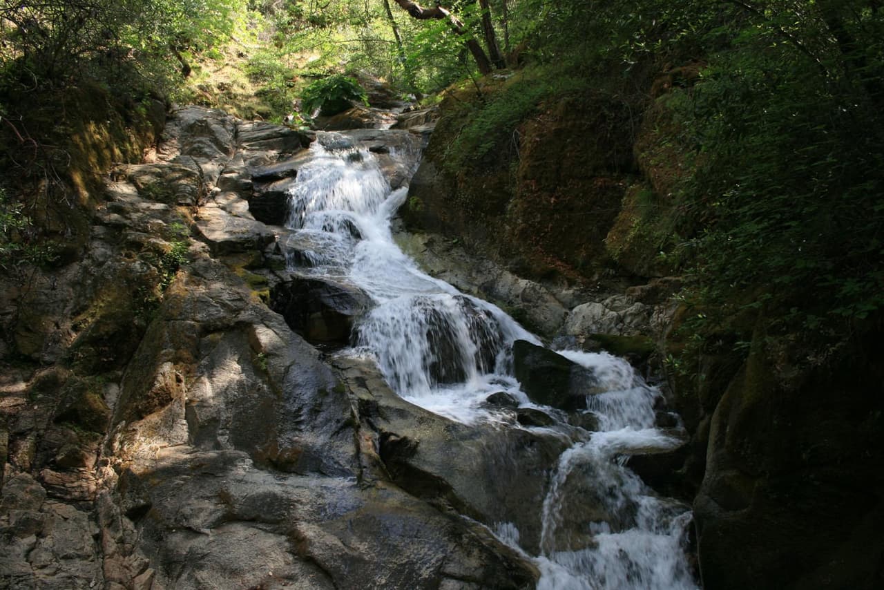 <b>Altura</b>: 640 pies
<br>
<b>Ubicación</b>: Plumas National Forest en Quincy, California. - 159 Lawrence St, Quincy, CA 95971
<br>
<b>Precio</b>: El parque ofrece distintos precios depende de la época y la razón de la visita, más información
<a href="http://fs.usda.gov/visit/passes-permits/recreation-fees-passes" target="_blank">aquí</a>.
<br>