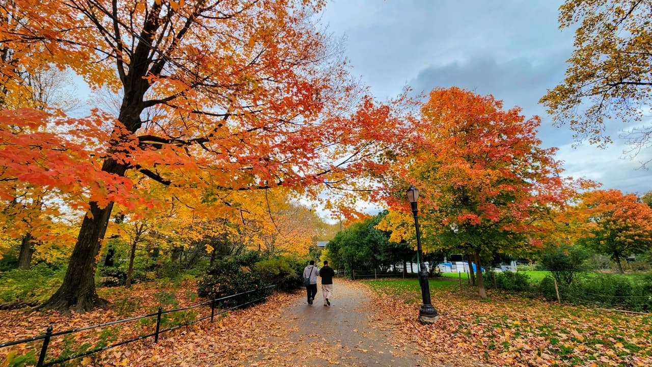Noviembre es "sinónimo" de otoño, un mes donde 
<b>los árboles comienzan a tomar ese color tan particular de la temporada</b>, la cual se extiende hasta el 21 de diciembre. En esa fecha, arranca el invierno.