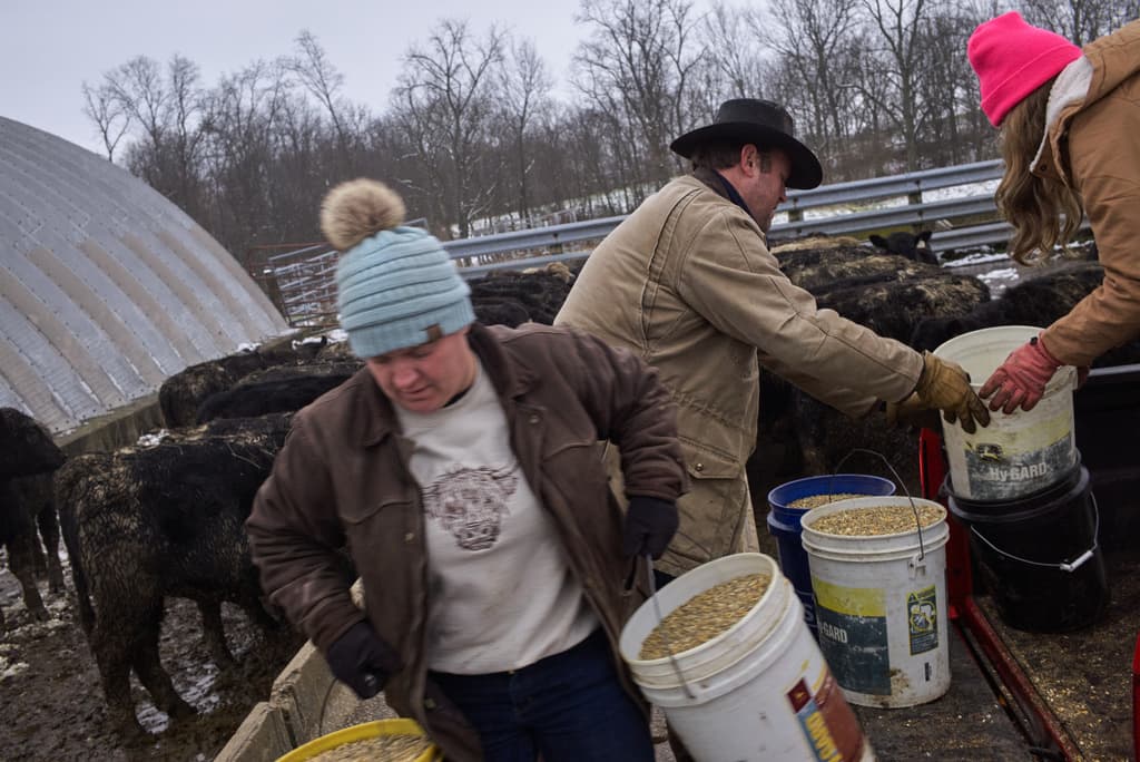 Blakeley Pyles, a la derecha, entrega a sus padres, Josh, atrás, y Ashley Pyles, cubetas de pienso desde la caja de una camioneta en su granja del condado de Henry, Kentucky, el sábado 13 de diciembre de 2025.