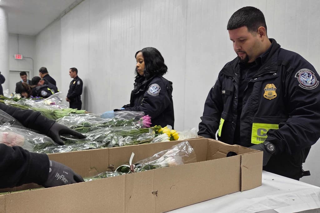 <b>Avianca Cargo y su aumento de operaciones. </b>Para hacer frente a la demanda de San Valentín, 
<b>Avianca Cargo</b>, con base en Medellín, opera alrededor de 
<b>320 vuelos de carga completos </b>llevando flores desde Colombia hacia Miami, más del doble de su actividad habitual, con 
<b>19,000 toneladas de flores </b>transportadas en esta temporada alta.