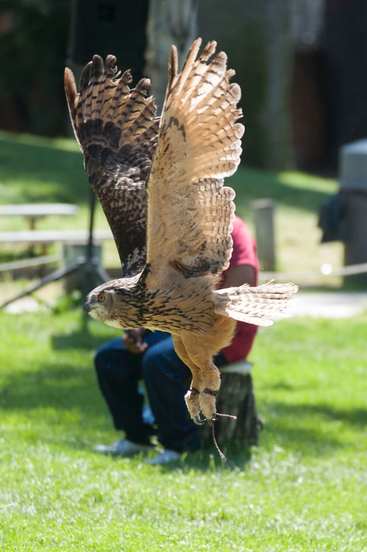 Un bello dia fue perfecto para las familias desde Bakersfield a Modesto.