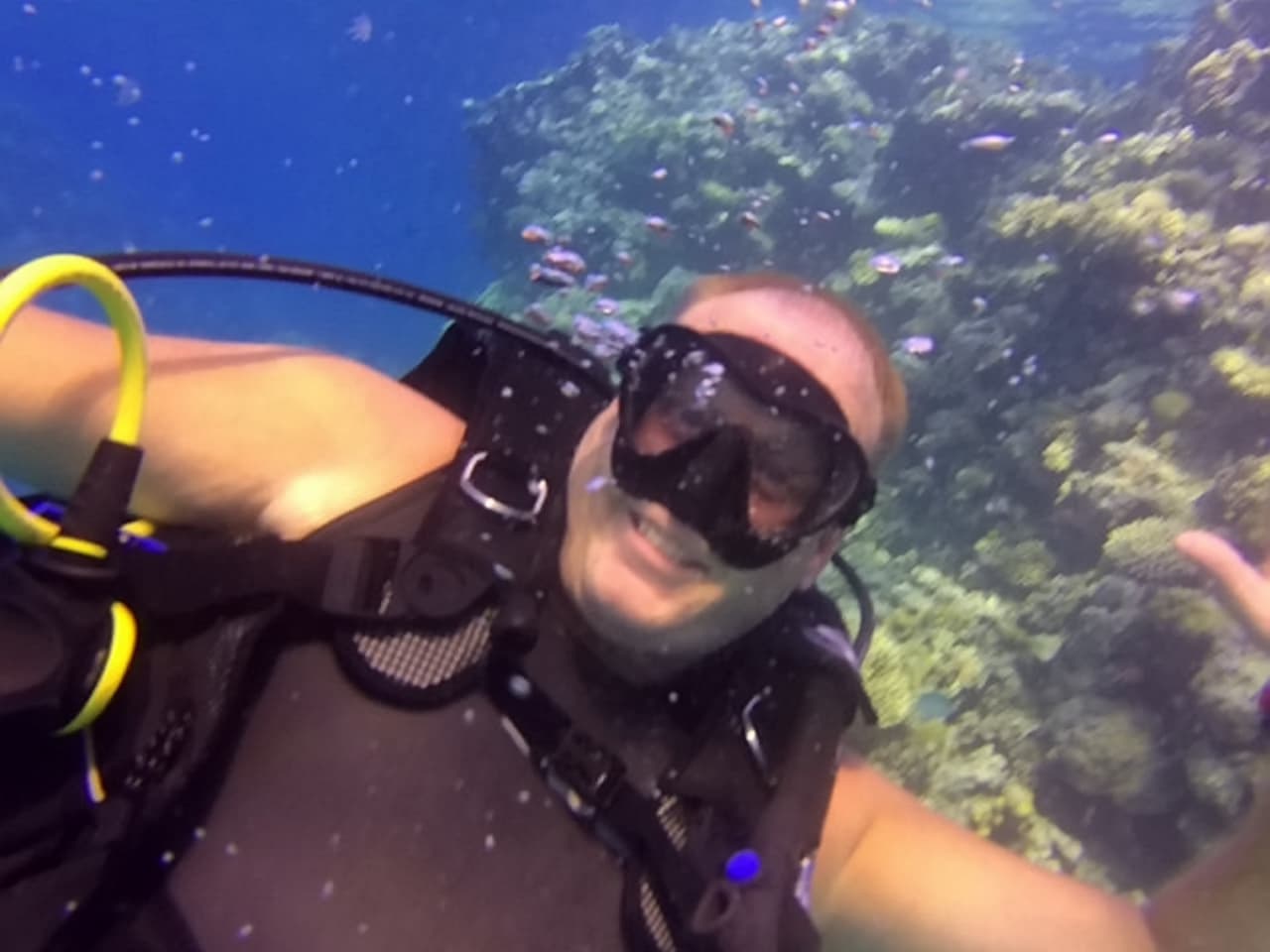 Esta persona asegura: "No creo en fantasmas o algo así, pero realmente esta imagen es muy, muy tétrica". Ahora tiene un peculiar recuerdo de su aventura submarina en Egipto.