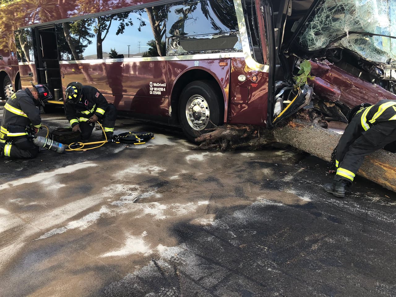 Antes de detenerse, el autobús chocó con varios árboles en Kaiser Drive.
<br>