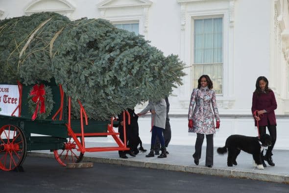 Como es costumbre el árbol que adornará el salón azul de la Casa Blanca llegó al pórtico norte de la residencia.