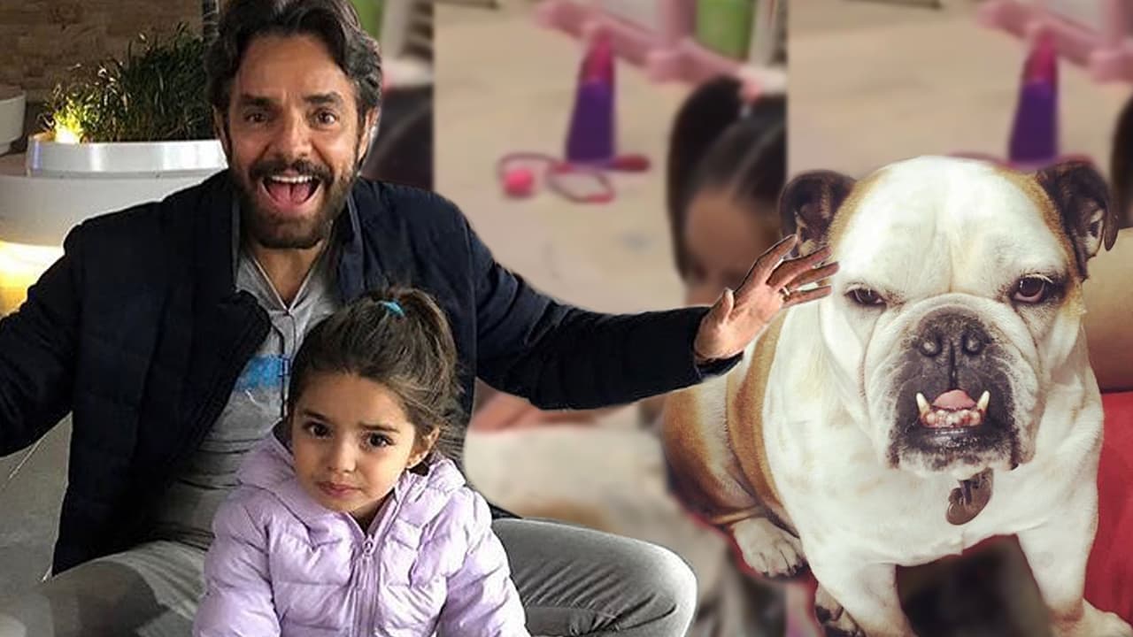 Eugenio Derbez presume a su ‘veterinaria favorita’: el tierno video de su hija Aitana cuidando a Fiona