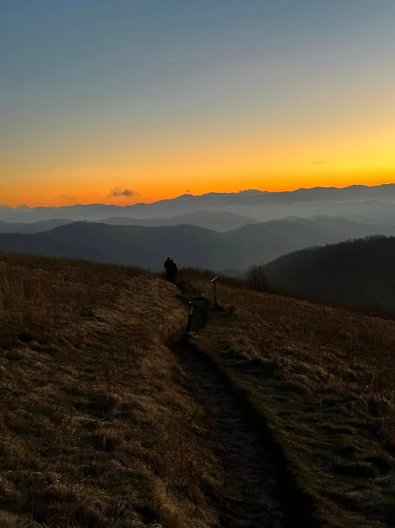 <b>Max Patch</b>. Esta parte popular en el famoso sendero de los Apalaches, Max Patch te lleva a calvas cubiertas de hierba en la cima de una montaña. Por lo general, cubierto de nieve, necesitarás un auto con tracción en las cuatro ruedas para llegar aquí, pero solo un buen par de botas para caminar por el circuito de 2.4 millas.
<br>
<br>
<b><a href="https://goo.gl/maps/wac7ZPXgcVAbLour9">Cómo llegar</a></b>