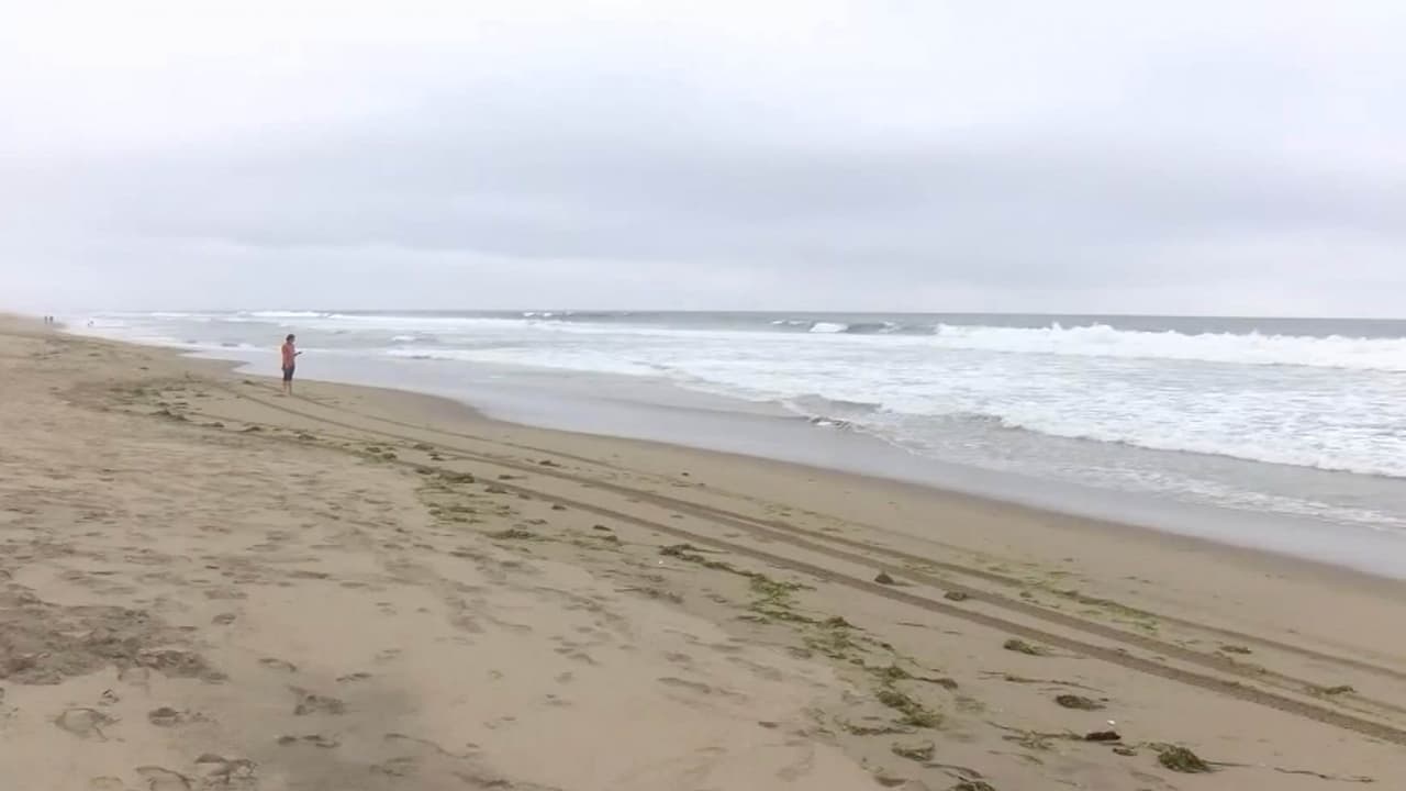 Muere un joven surfista por el ataque de un tiburón en una playa de California