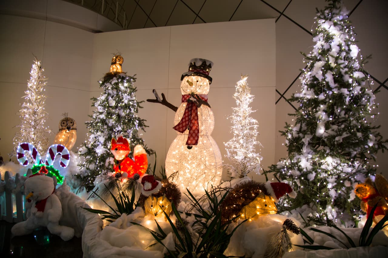 Con el pase de un día, los visitantes pueden ingresar al festival de luces del parque.