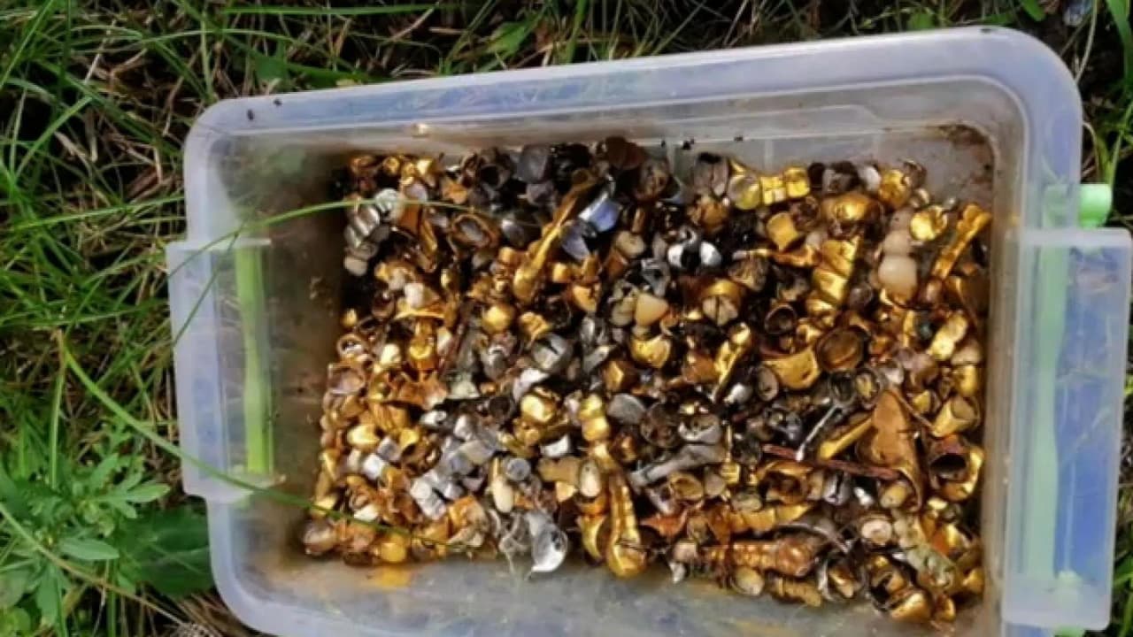 EN VIDEO: La policía ucraniana reveló unas imágenes perturbadoras tomadas en las áreas donde han recuperado el control. Muchos de los restos que encuentran evidencian de violaciones de derechos humanos. 
<a href="https://www.univision.com/noticias" target="_blank">Sigue todas las noticias en Univision. </a>