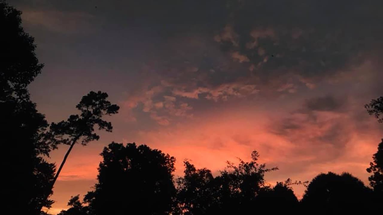 Esta foto fue tomada por Sara Márquez en Cleveland, TX.