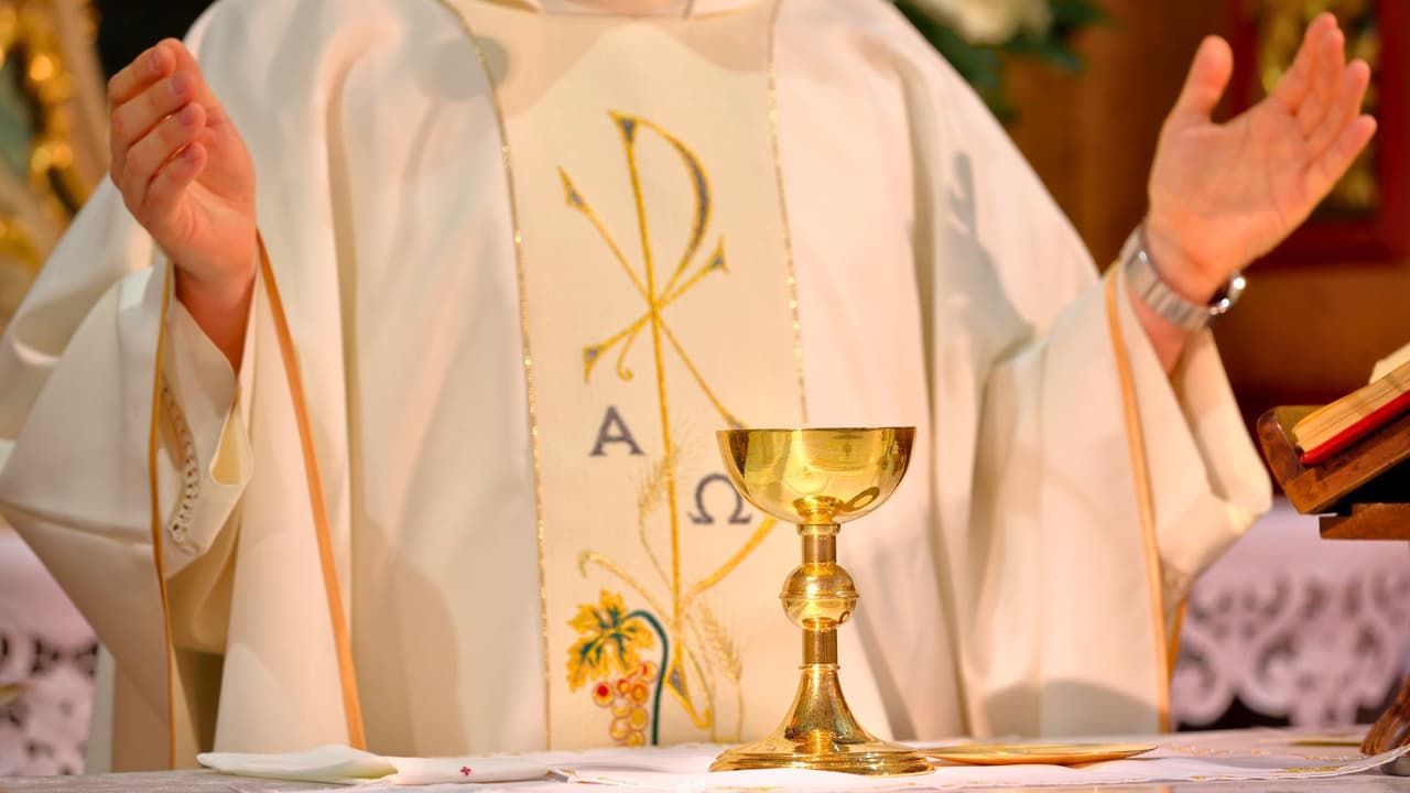 <h2 class="cms-H2-H2">⛪ Horarios regulares de Misa</h2>
<br>
<b>Lunes a viernes:</b>
<ul>
 <li>12 PM en inglés.</li>
 <li>7 PM en español.</li>
</ul>
<b>Domingos:</b>
<ul>
 <li>8 AM en inglés.</li>
 <li>10 AM, 2 PM, 5 PM y 7 PM en español.</li>
 <li>12 PM en inglés.</li>
</ul>