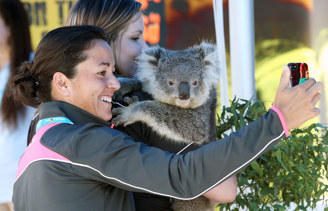 Así te alerta Instagram para que no contribuyas con el maltrato animal 