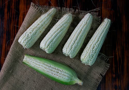 También las autoridades locales pueden decidir si un evento al aire libre debe reducir la cantidad de asistencia.