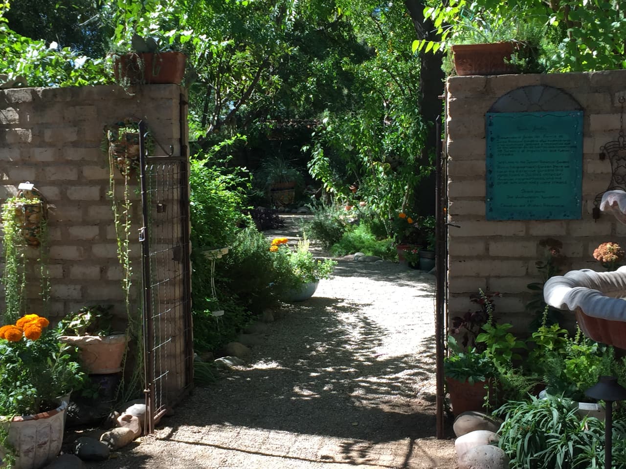 Jardines, color y arte en la exhibición de Frida Kahlo en Tucson