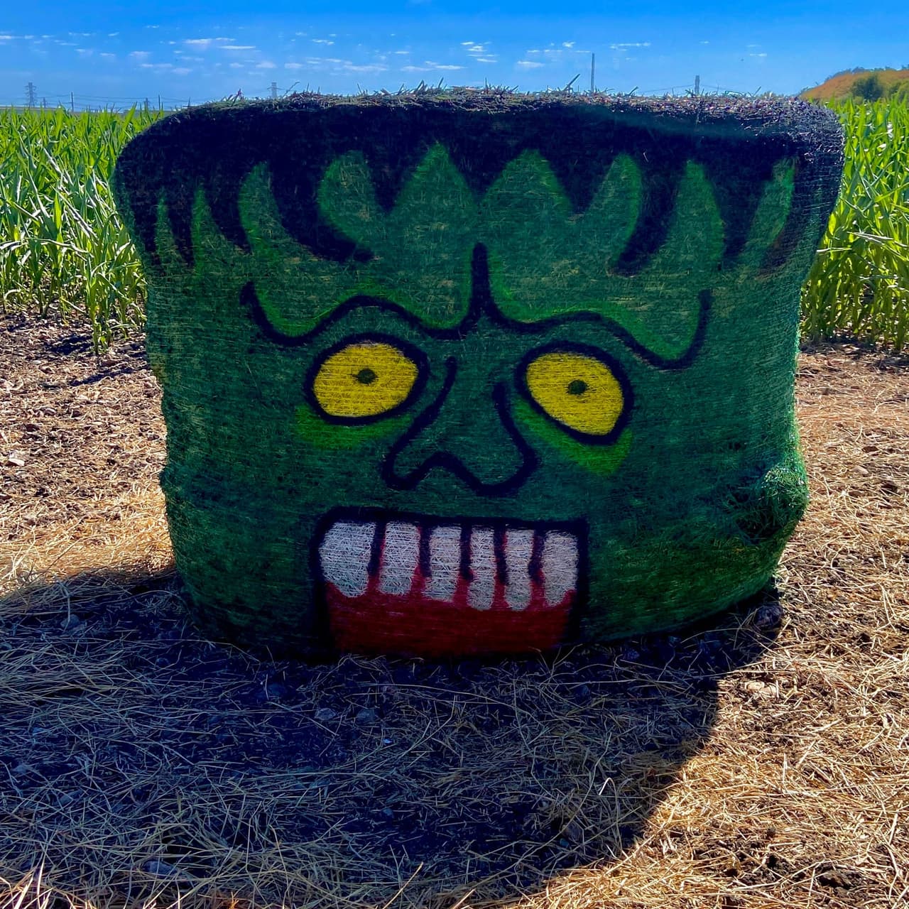 Traders Village es una "entidad de agroturismo", lo que significa que puede haber animales salvajes en la ruta. 
<br>
<br>El sitio web advierte sobre abejas y serpientes, pero dice que es poco probable que las serpientes salgan y que es poco probable que las encuentre en los senderos cortados.