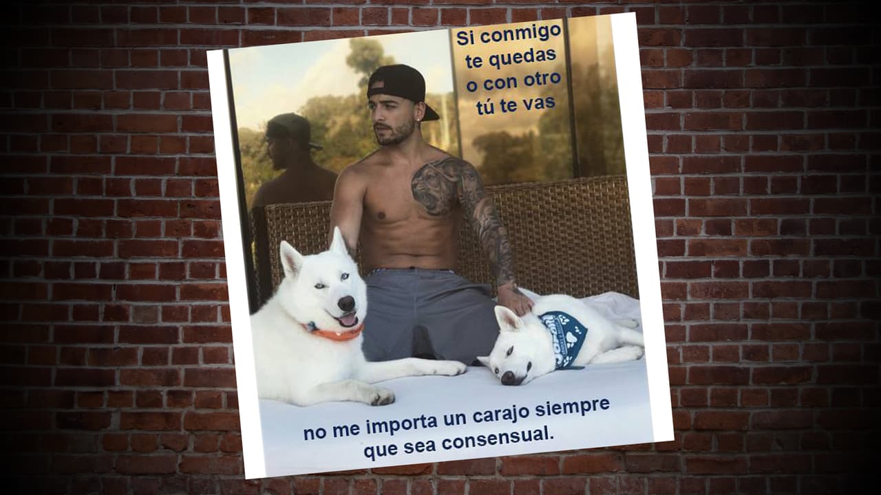 ‘Maluma Feminista’ recuerda al popular blog ‘
<b><a href="http://feministryangosling.tumblr.com/">Feminist Ryan Gosling’</a></b> del 2011 donde se imaginaba al galán de Hollywood diciendo mensajes feministas a una chica usando fotos de archivo con texto sobreimpuesto.