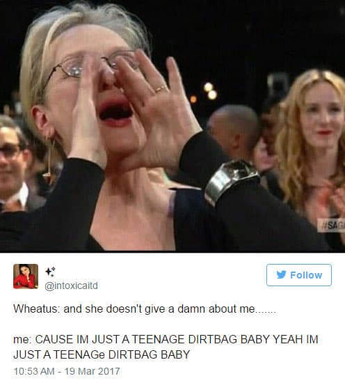 Un clásico de la década pasada de Teenage Dirtbag