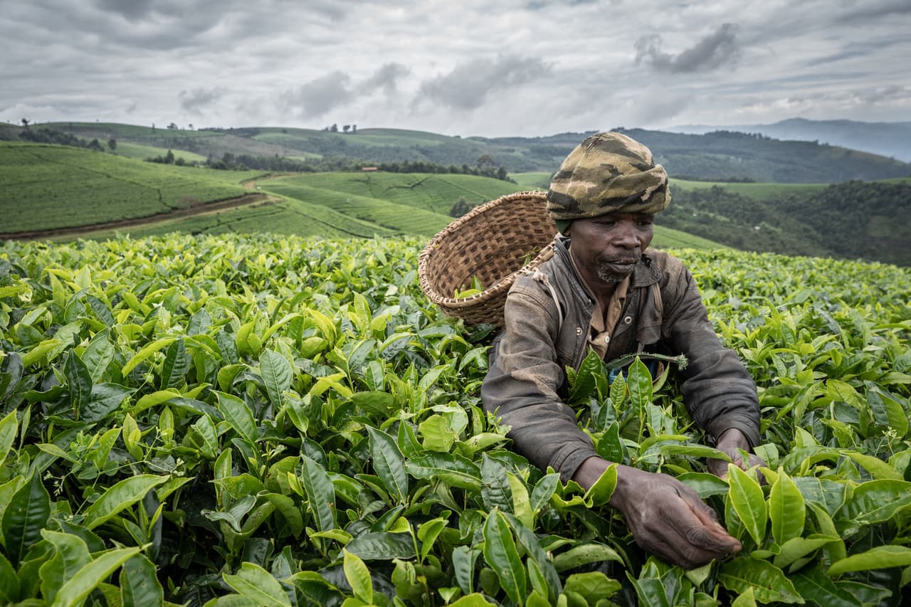 <h3 class="cms-H3-H3">14. Ruanda</h3>
<br>
<br>🌍 
<b>RNB per cápita: </b>$2,160
<br>
<br>🌍 
<b>Producto Interno Bruto 2020: </b>$10,300 millones.
<br>
<br>🌍 
<b>Esperanza de vida:</b> 69.0 años.
<br>
<br>🌍
<b> Población: </b>13.0 millones.
<br>