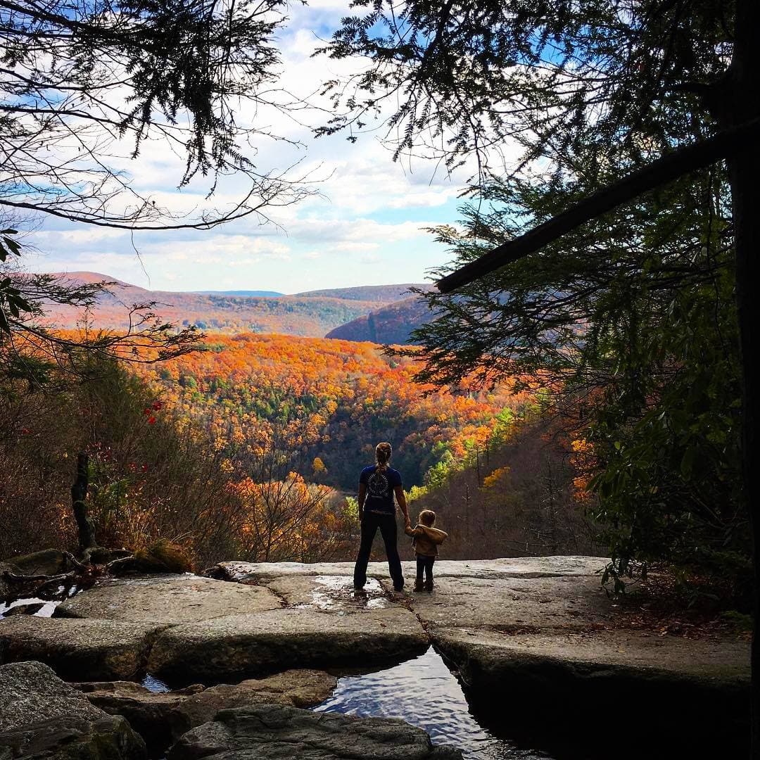 Así son los mejores senderos para visitar durante el otoño en Pensilvania 