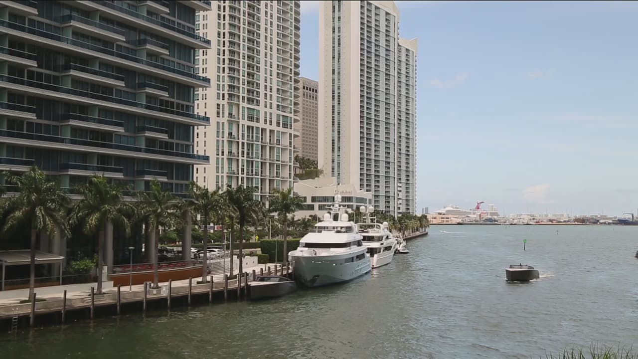 Una hermosa vista a la bahía.