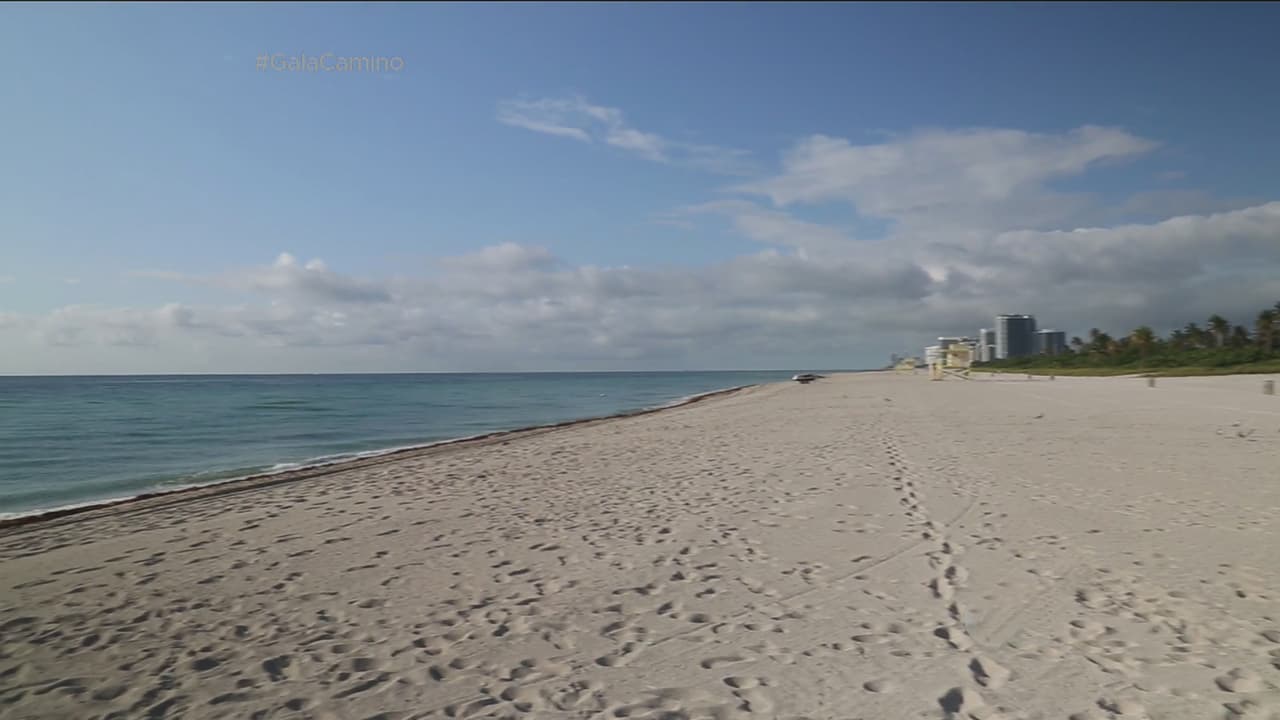 Aquí la pena no existe.